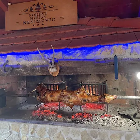 Luxury Forest With Private Pool Bihać