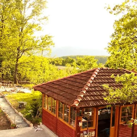 Luxury Forest With Private Pool Vikendica *